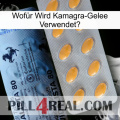 Wofür Wird Kamagra-Gelee Verwendet 44